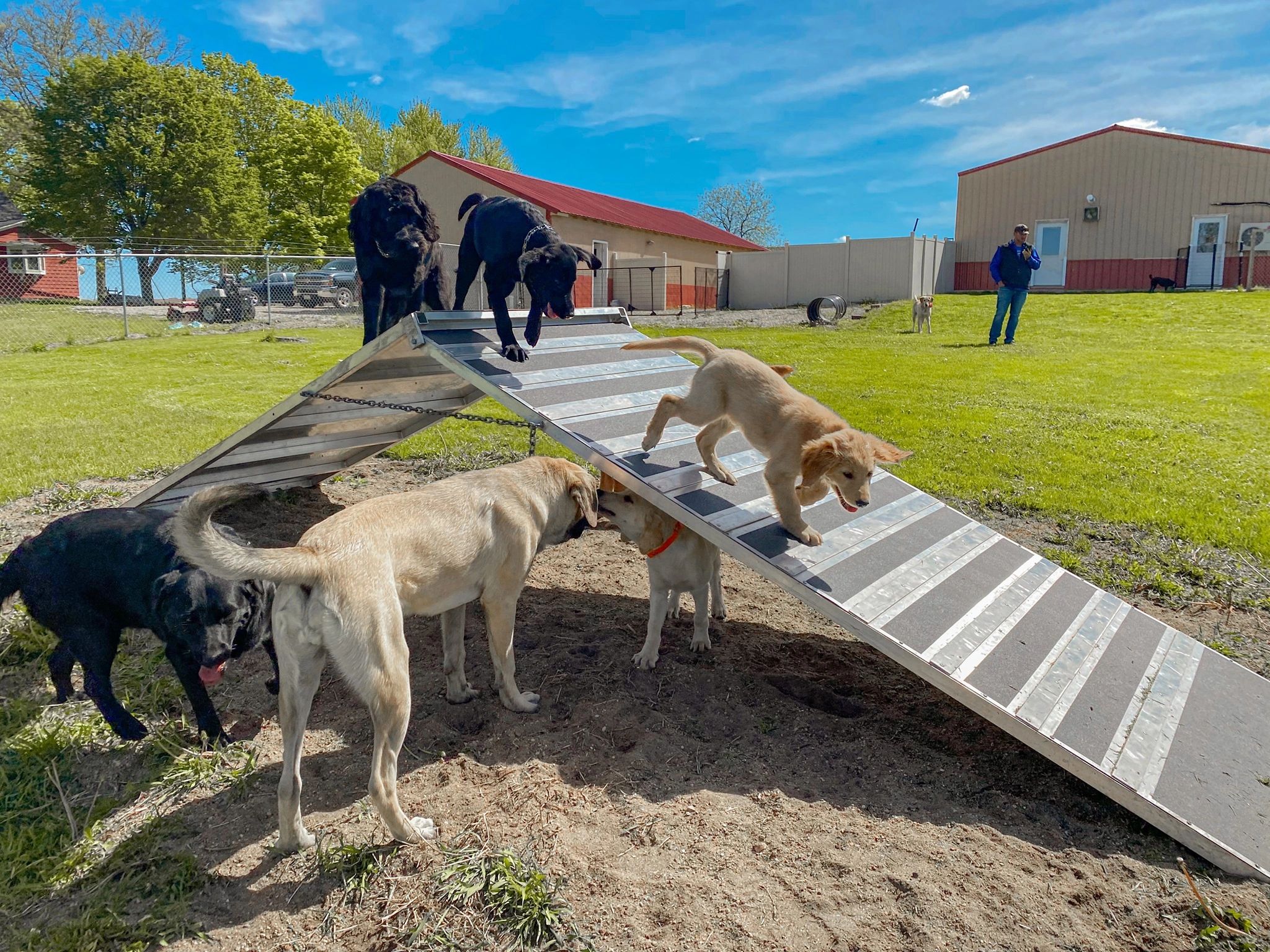 Rock River Pet Resort